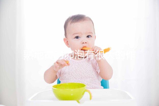 熟地黃對卵泡有很大的作用和作用能否改善性功能?