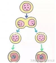 甘肅定西能不能做二代試管嬰兒，成功率高不高？