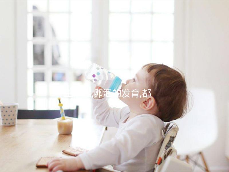 生殖器,卵泡的發(fā)育,都是雌二醇(E2)對(duì)女性的意義一部分