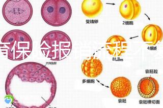 生育保險報銷流程不復雜，辦理地點不分地域異地可報銷