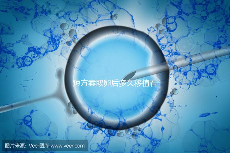 短方案取卵后多久移植看時機，關于試管你要知道一些事