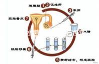 盤點水痘潛伏期能打疫苗嗎，盲目接種水痘疫苗作用不大