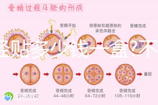 痛經(jīng)貼多少錢一盒?不同品牌痛經(jīng)貼價格盤點