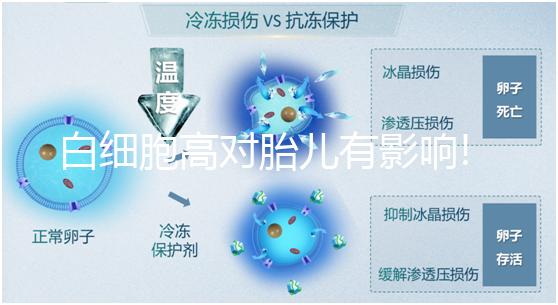 白細胞高對胎兒有影響!處于孕期的準媽媽們要多加留意