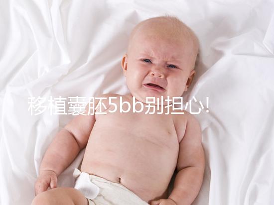 移植囊胚5bb別擔心!希望并非來自成功率,質(zhì)量奠定基礎(chǔ)