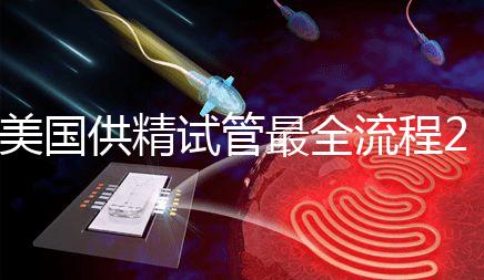 美國供精試管最全流程2024，時間長短關鍵看身體情況