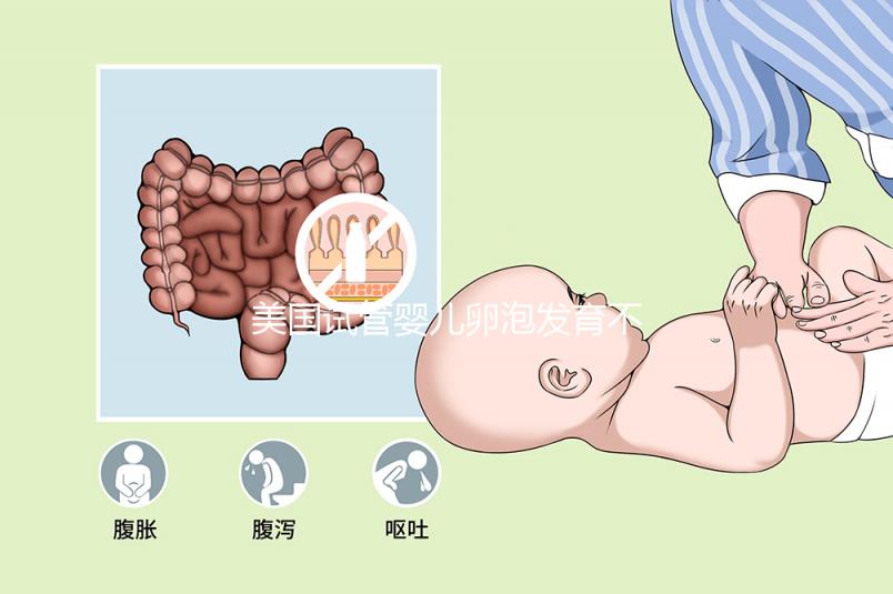 美國試管嬰兒卵泡發(fā)育不好用這3招!養(yǎng)的又大又圓