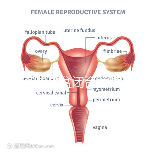 美容院骨盆閉合術騙局公開，不但沒用還會造成損傷要小心