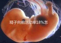 精子向前活動率18%怎么辦？專家總結調理 治療全攻略