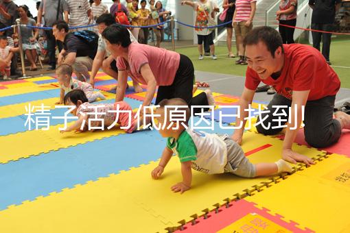 精子活力低原因已找到!跟你經(jīng)常做的這5件事有關