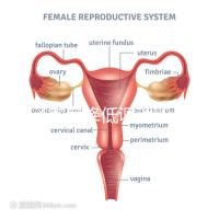 精子密度降低調(diào)理四步走，男性生育制勝法寶趕緊看看