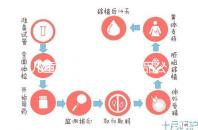 兒童牙膏十大國產產品公布，2024年哪些品牌看這個