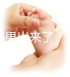 養(yǎng)囊結果出來了？3ab囊胚成功率、質量好不好看這里