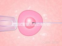 全國試管嬰兒成功率好的醫(yī)院排名