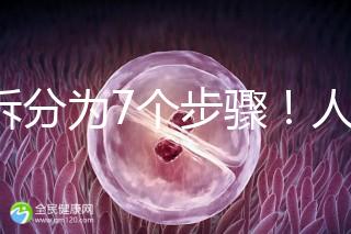 共拆分為7個(gè)步驟！人工授精自然周期流程全解