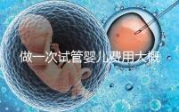 做一次試管嬰兒費用大概多少