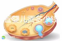 做試管嬰兒需多少錢(qián) 做試管...@夏子軒健康講堂的動(dòng)態(tài)