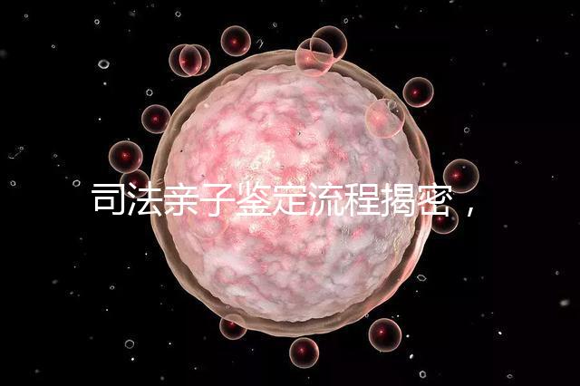 司法親子鑒定流程揭密，附準備材料請一并參考