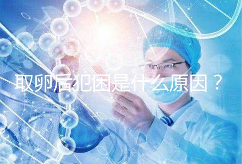 取卵后犯困是什么原因？生殖科醫生透露出其中緣由