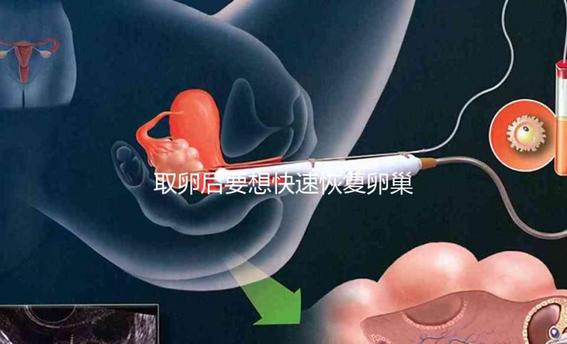 取卵后要想快速恢復(fù)卵巢，這8個(gè)方法絕對有效！