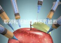 取卵和胚胎培養(yǎng)環(huán)節(jié)最重要？做試管嬰兒的你一定不知道！