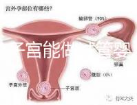 雙角子宮能做試管嬰兒嗎？可以，但這2大條件缺一不可