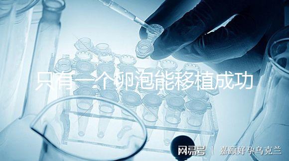 只有一個(gè)卵泡能移植成功嗎?別擔(dān)心!過來人告訴你好孕并不難