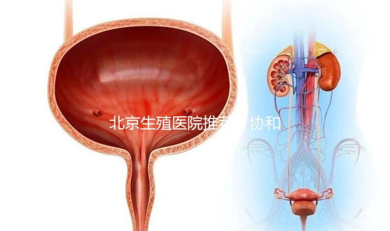 北京生殖醫院推薦！協和、北醫三院等三甲醫院介紹