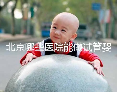北京哪些醫院能做試管嬰兒？