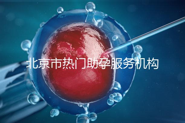 北京市熱門助孕服務(wù)機構(gòu)排名榜單!這三家性價比比較出眾!