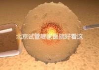 北京試管哪家醫院好看這，303醫院、北醫三院值得推薦