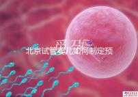 北京試管嬰兒如何制定預算，費用解析必看