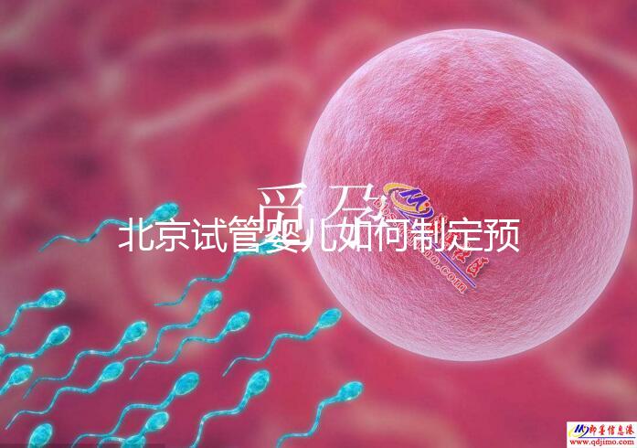 北京試管嬰兒如何制定預算，費用解析必看