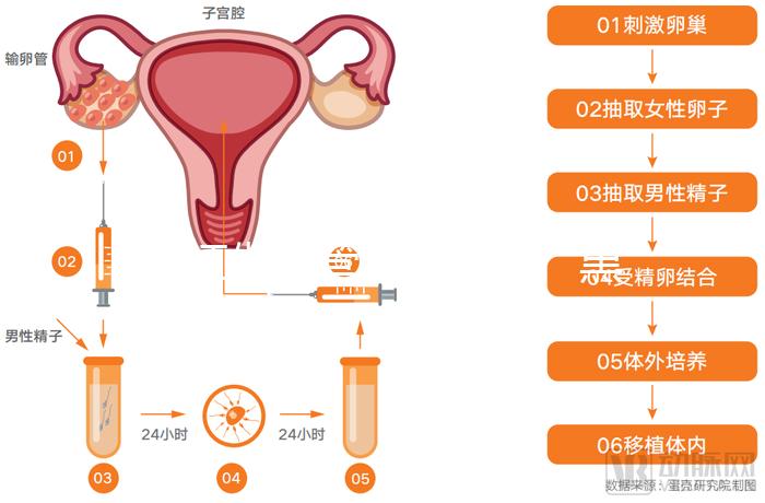 內江做試管嬰兒別選“黑診所”!四川省內這些醫(yī)院才合法