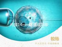內(nèi)膜14mm移植成功率不高？好不好著床看完心里有譜