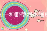 農村一種野草泡水喝真能治便秘!配合這九種中草藥效果更好