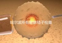 哈爾濱所有能做精子檢查的醫院都在這里,價格便宜又專業