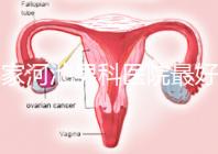 哪家河池男科醫院最好快速收藏，金城江區最有名的就在這里