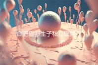 合肥借卵生子私立醫院匯總，2024哪家排名好一覽了然