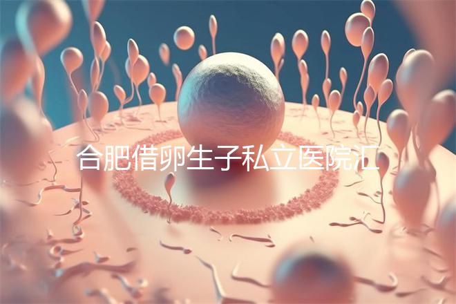 合肥借卵生子私立醫(yī)院匯總，2024哪家排名好一覽了然