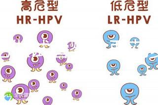 合肥做試管嬰兒要花多少錢？進周期前這些注意事項都來看看