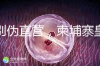 告別偽直營,柬埔寨皇家生殖遺傳醫院RFG中國辦事處指南