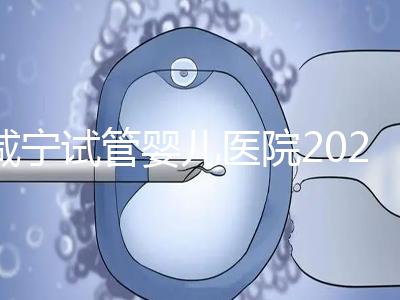 咸寧試管嬰兒醫院2024年成功率排名公開，哪家好一目了然