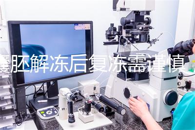 囊胚解凍后復凍需謹慎,這些對胚胎質量的影響不可不知