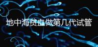 地中海貧血做第幾代試管嬰兒？要看看地貧的表現(xiàn)型