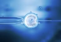 供卵試管嬰兒選擇好醫院是關鍵，泰國好的生殖中心有這些