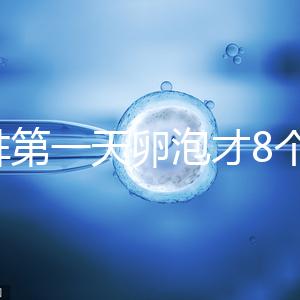 促排第一天卵泡才8個(gè)別慌,怎么辦、多大正常一文說清