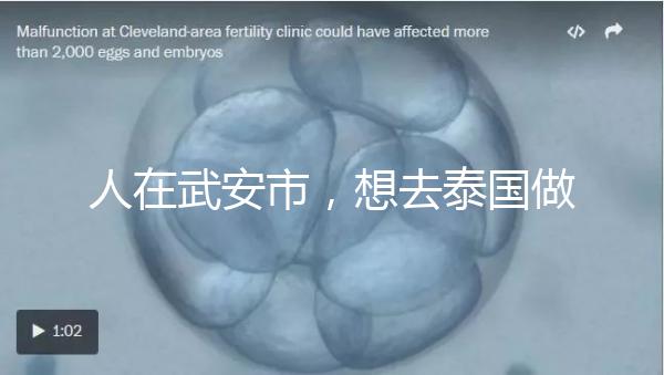 人在武安市,想去泰國(guó)做試管嬰兒生男孩要花多少錢(qián)?