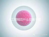 人工授精后什么飲食不能吃?6種禁忌食物心中記