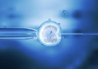 五紅湯喝多久才有效果？讓喝過的人告訴你！